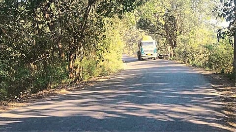 नागोठणे : वाकण येथील धोकादायक वळण.