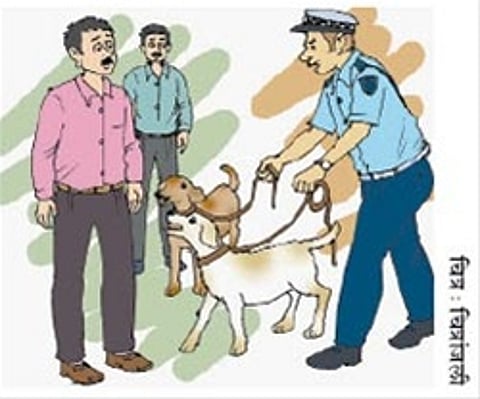 प्रात्यक्षिक परीक्षा