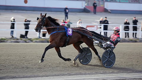 Ravit Pariisissa