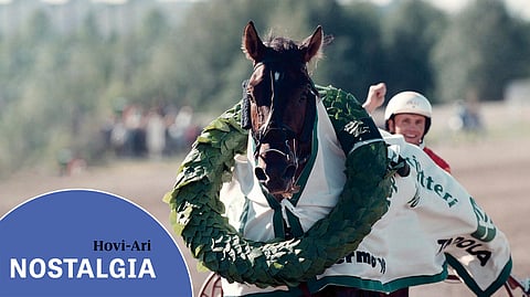 Hovi-Ari seppelöitiin Tähtisprintterin täysosuman kunniaksi Vermossa syyskuussa 1998.