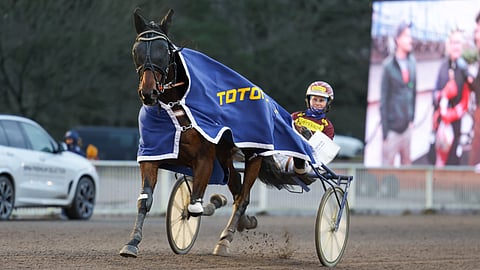 Janita Antti-Roikon ohjastama ja valmentama Hector Sisu esitti viimeksi Vermon kultadivarifinaalissa hienon keulasoolon.