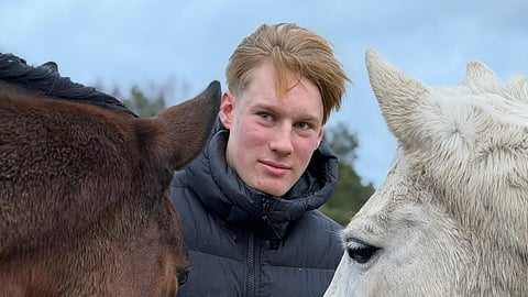 Mikko Moisala panostaa kenttäratsastukseen isosti ja hevosia riittää. Kuvassa "laidunmoodissa" olevat ykköshevoset Cracks Kajsa ja Amaris loukkaantuivat viime vuonna, mikä vei kauden 2025 sivu suun, mutta tälle kaudelle suunnitelmat ovat kunnossa.