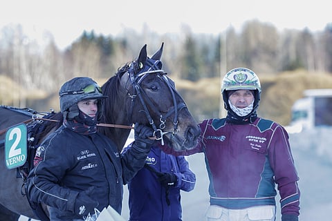 Dimitri Hedmanin valmentama ja Veli-Pekka Toivasen ohjastama Amanda Evo starttaa lauantaina Bergsåkerissa.