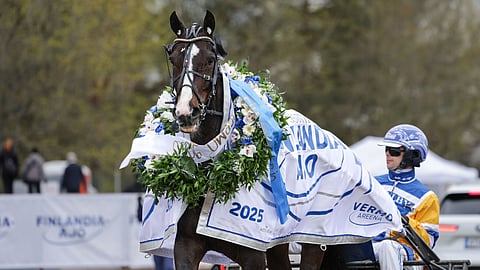 Daniel Wäjersten ja Mellby Jinx