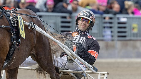 Ravit Solvallassa
