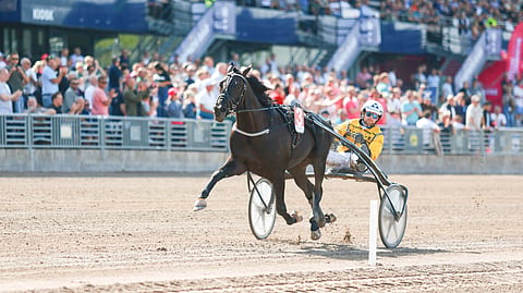 Ravit Ruotsi