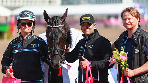 Ravit Ruotsi