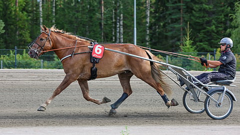 Tuhti-Kersantti kuului ikäluokkansa ykkösnimiin.