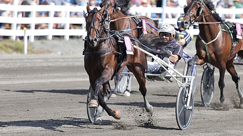 Ravit Norja