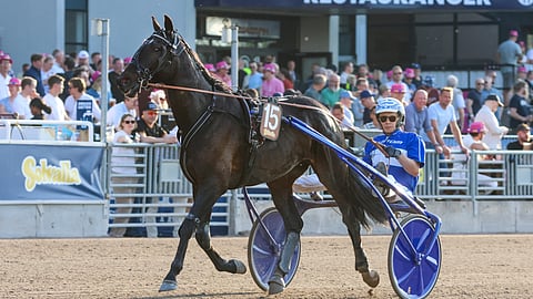Ravit Ruotsissa