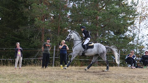 Minkälainen hevosurheilu on kaikkien mielestä hyvää?
