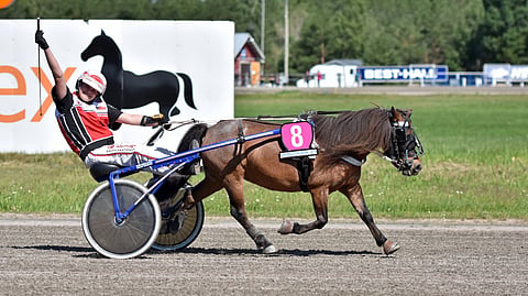 Tastulan perheestä Aava Tastulan isosisko Oona Tastula (kuvassa) on menestynyt Smedens My Donnalla.