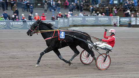Ravit Solvalla