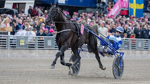 Ravit Elitloppet