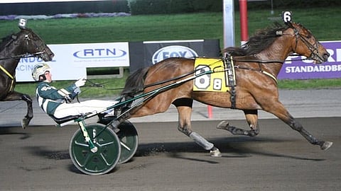 Ravit USA