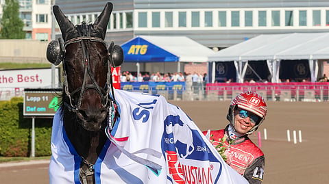 Need'em kaksi vuotta sitten Elitloppet-viikonloppuna STL:n Klass I -finaalin voittajana Santtu Raitalan ajamana. Tänä vuonna ruuna kiihdyttää Sweden Cup -karsintaan Iikka Nurmosen ajamana.