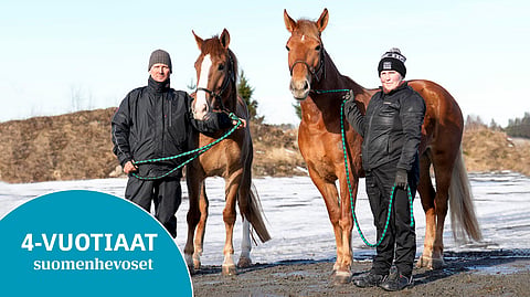 Hannu Hietasen esittämä Myrskyn Hurma on hyvänoloinen ja järkevä tamma. Sara Hietasen kanssa poseeraava Piriina on Jani Hietasen listoilla. Se voitti huhtikuussa Teivossa Kriteriumkokeen.