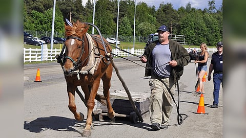 Työmestari Henkan Juulia ja Mikko Uusimäki työn touhussa vuonna 2024.