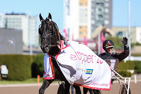 Don fanucci Zet Elitloppet