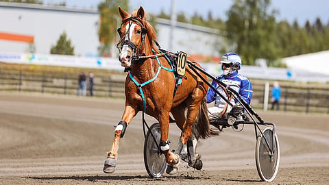 Annan on kilpaillut tänä vuonna viidesti ja sijoittunut joka kerta kolmen parhaan joukkoon.