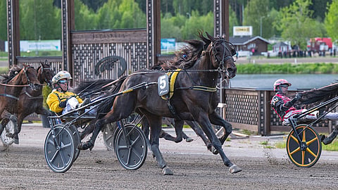 Millstout haastoi Killerin Eliitti-katsastuksessa Romanov Comeryn.