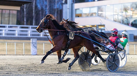 Callela Capitano voitti neljästi Jukka Hakkaraisen valmennuksesta. Arkistokuva.