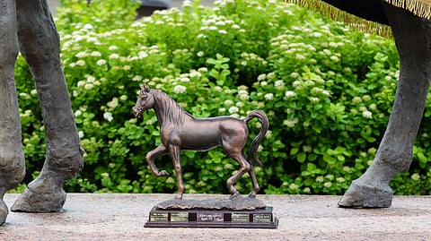 Kymi Gold palkinto