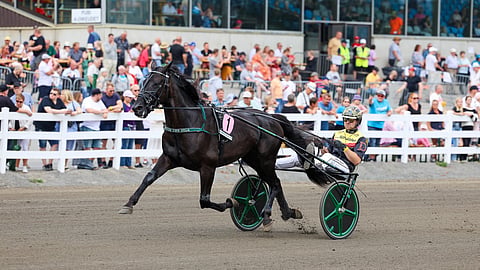 Castor The Star ja Mats E Djuse St Michel 2025