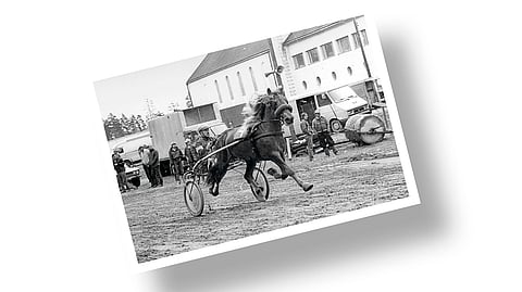 Ketkä ovat vauhdissa?