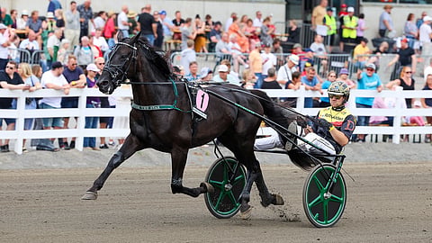 Castor The Star ja Mats E Djuse St Michel 2024