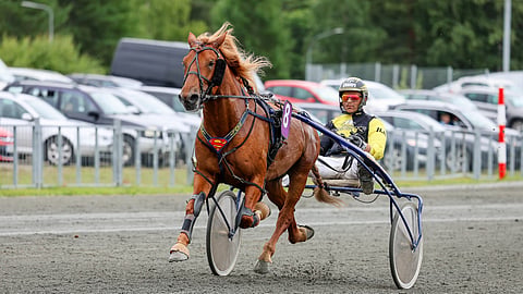Rekilammen Sauli kilpaili aiemmin Seppo Suurosen valmennuksesta. Kuvassa rattailla Henri Bollström.