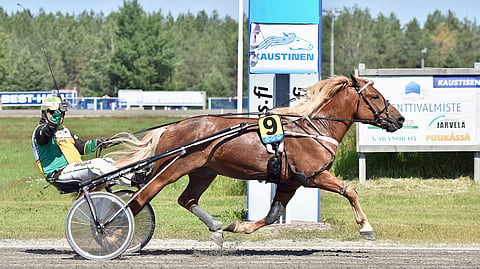 Valmentaja Teemu Okkolin on ohjastanut Vilkkeen Villin uran jokaisen voiton.