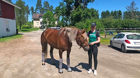 Heidi Jääskeläinen ja Hitsi suuntaavat lähiaikoina takaisin Suomeen. Kaksikko on viettänyt alkuvuoden Jörgen Westholmin tiluksilla.