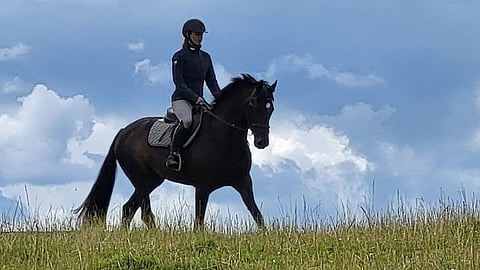 Etoile de Paun satulassa.