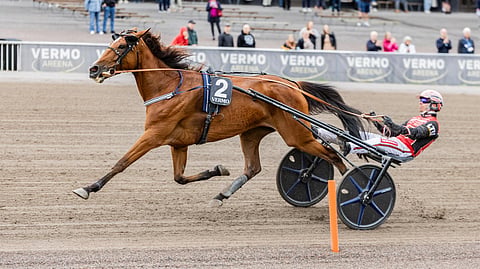 Ete Jet herkisteli viime keskiviikkona virettään St Micheliin voittaen Vermossa ajalla 13,3a/2120 metriä.
