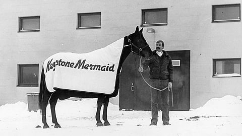 Timo Sohlberg ja BWT:n huipputamma Keystone Mermaid Haimoon kaksikerroksisen tallin edustalla.