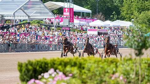 Solvalla Tukholma
