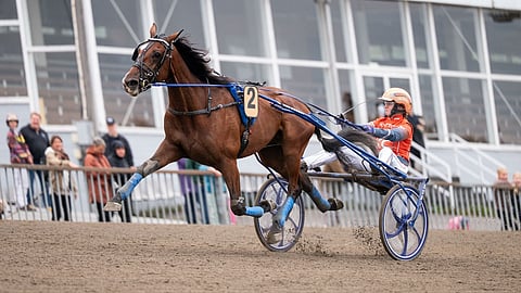 Zeussin ja Elina Leinonen tykittivät maalisuoralla iloisesti kärkeen.