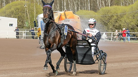 Kurri Jari Boko on kilpaillut tällä kaudella viidesti.