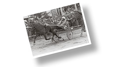 Kuva-arvoitus: Tunnistatko kuvan parivaljakon?