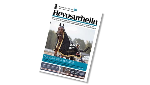 Hevosurheilun kansikuvahevonen on Kriterium-voittaja Better Leader.