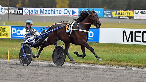 Pekka Korven tallin Aquilone on nousemassa ikäluokkansa huipulle.
