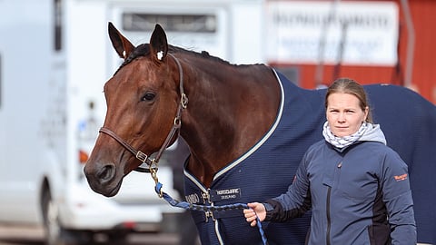 Lykke Li Hoss ja Julia Korkiakoski