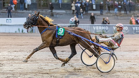 Bradley Express starttaa Kouvolassa allaan neljä peräkkäistä voittoa. Santtu Raitalan sijaan ruunaa ajaa Ari Moilanen.
