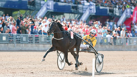 Ravit Ruotsi
