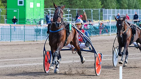 Capriccio d'Amore ja Riku Lehtonen