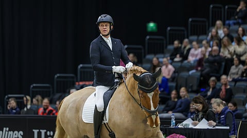 Talvitauosta tulee tänä vuonna lyhyt, sillä Horse Show -startti kiinnostaa, ja sinne täytyy ensi vuoden alussa ehtiä kvaalatakin.