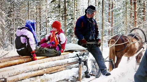 Kuvan tukkimetsällä ollut hevonen ja henkilöt eivät liity tapaukseen.