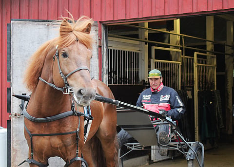 Seppo Sarkola kertoo, että Hullumies pysähtyy usein tallin ovensuulla katselemaan siitä aukeavaa näkymää radalle.