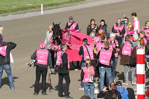 Magic Tonight voitti Elitloppetin